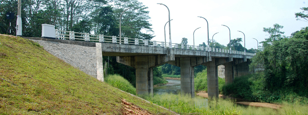 Project view