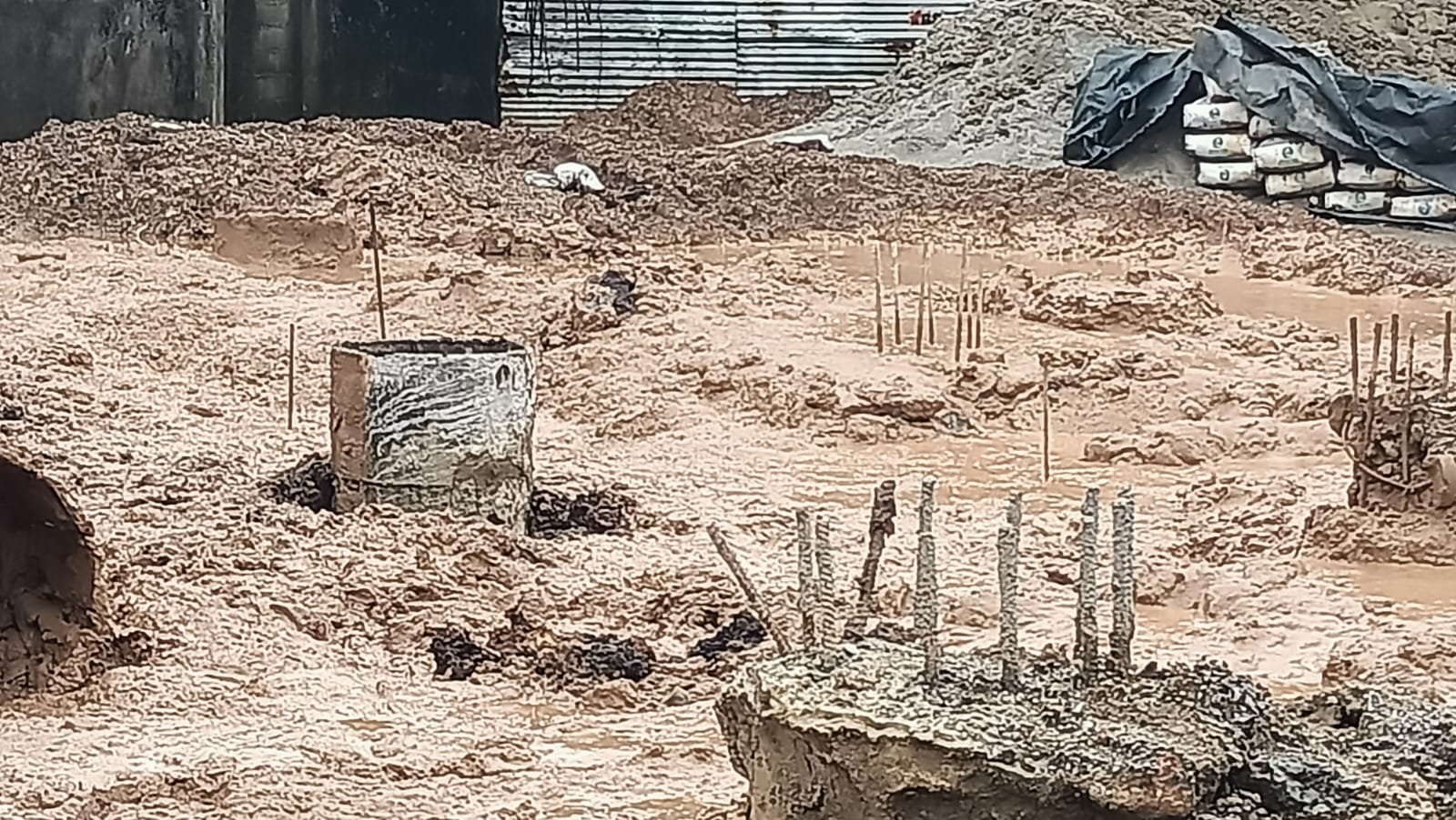 Project view