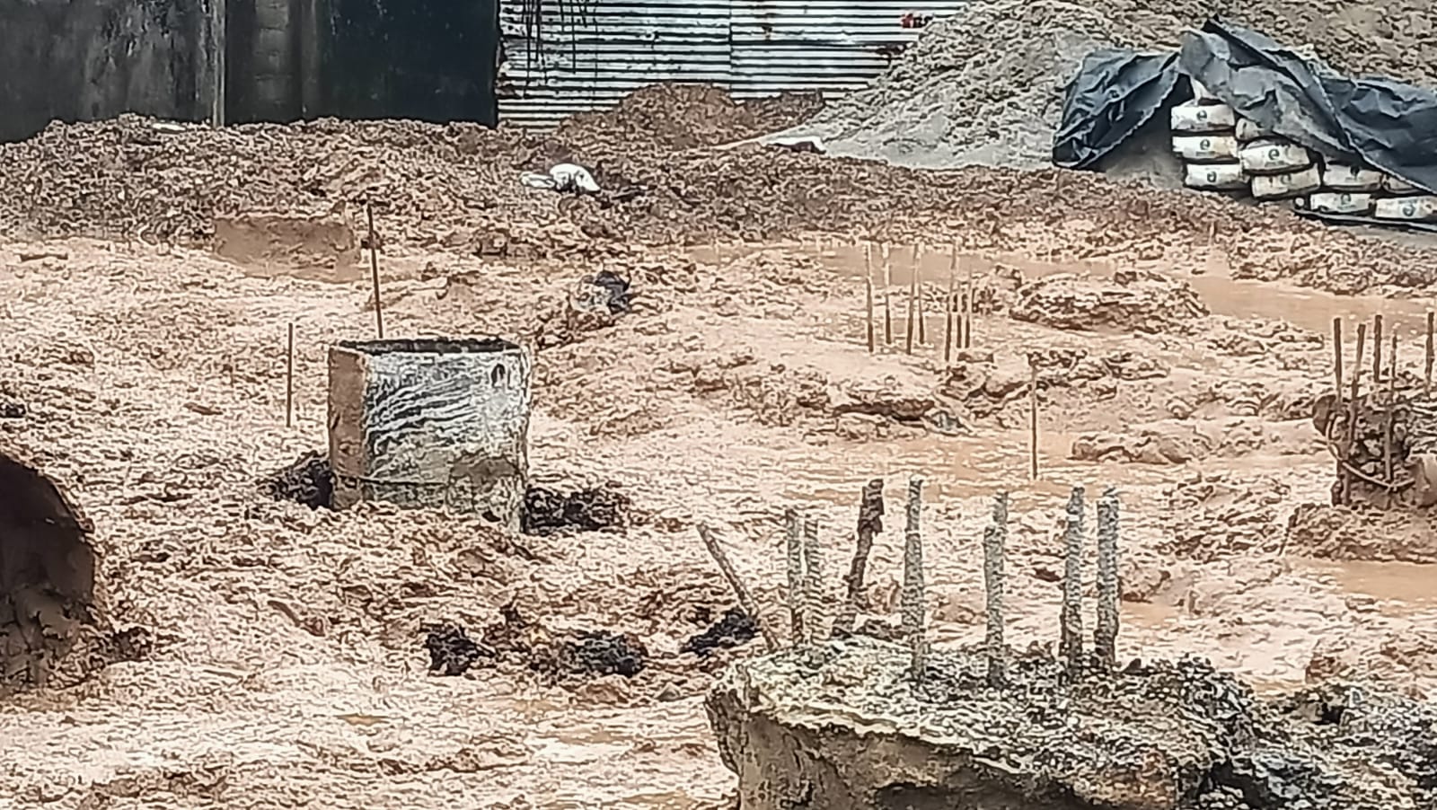 Project view